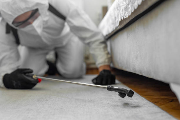 Professional Bed Bug Control technician working in Homer, MI