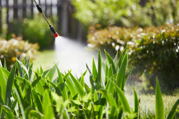 24/7 Emergency Bed Bug Control experts in Homer, MI